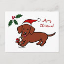Search for hot dog christmas cards Doxie