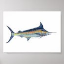Search for marlin posters Blue