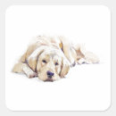 Search for retriever stickers Golden