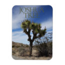 Search for joshua tree national rectangular magnets Desert