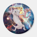 Recherche de lézard magnets Gecko