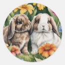 Search for two rabbits stickers Bunny