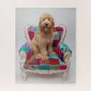 Recherche de goldendoodle puzzles Doré
