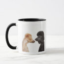 Recherche de comparaison tasses Horizontal