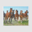 Search for horse decoupage paper Wild