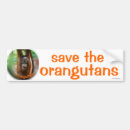 Search for wild animals bumper stickers Nature