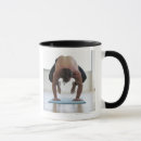 Search for mats mugs Sport