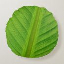 Search for banana leaf pillows Plant