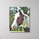 Search for horse canvas prints Animals