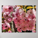 Recherche de macro de fleur posters Mother