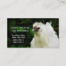 Recherche de bec cartes visite Plumes