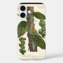 Recherche de poivre iphone coques Épices