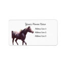Search for arabian horse return address labels Equine