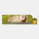 Search for today bumper stickers Hug