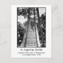 Recherche de vintage alligator postcards Vieux