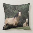 Search for mustang pillows Wild