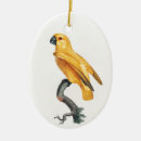 Search for parrot ornaments Bird