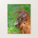 Search for babe ipad cases Adorable