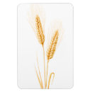 Search for cereals magnets Fruit