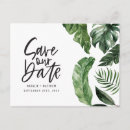 Search for foliage horizontal postcards Tropical