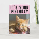 Search for cat girl birthday cards Daughter