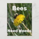 Recherche de mauvaises herbes cartes postales Nature