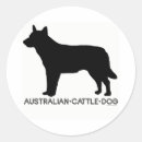Search for australian cattle dog stickers Animals