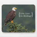 Recherche de oiseaux proie tapis souris Aigle chauve