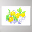 Search for kitchen posters Citrus