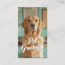 Search for pet portrait business cards Dog walker