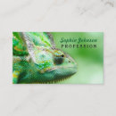 Recherche de caméléon cartes visite Nature