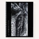 Search for unique elephant Safari