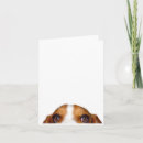 Search for lovable cards Funny