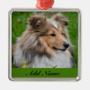 Search for sheltie ornaments Puppy