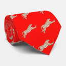 Search for cougar ties Wildlife