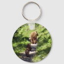 Search for bear family keychains Nature