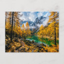 Search for larch postcards Forest