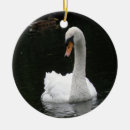 Recherche de cygne blanc ornements Oiseaux