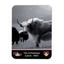 Recherche de trekking magnets Himalayas