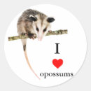 Search for possums crafts party Wildlife