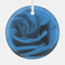 Search for macro ornaments Background