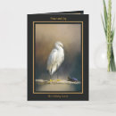 Search for wildlife christmas cards Photograph