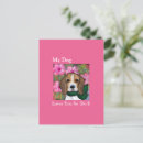 Search for dog christmas postcards Beagle dog lovers