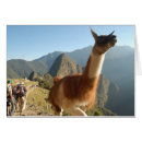 Search for macchu Picchu