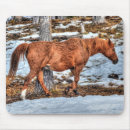 Recherche de ranch photographie Pour eux