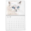 Search for drawing calendars Cats