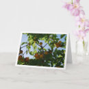 Search for fruit trees cards Plants