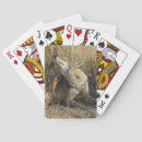 Search for predator playing cards Nature photography