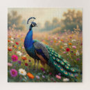 Recherche de paon coloré puzzles Plumes de paon