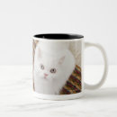 Search for viewpoints mugs Outdoors